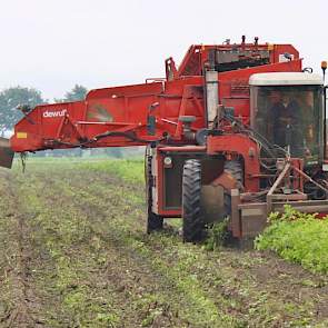 Het land dat aardappelzetmeelteler Johan Dekker in gebruik heeft kon de 70 millimeter regen van zondag en maandag prima aan.