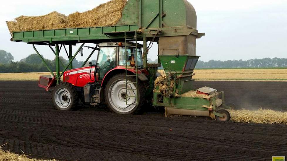 Direct na het planten wordt een strodek aangebracht. Het strodek van ongeveer 7,5 ton stro per hectare heeft meerdere doelen.