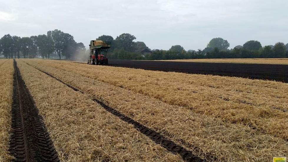 ‘Dit doen we onder meer om verslemping van de grond te voorkomen’, zegt Trip. Ook probeert hij met het strodek de temperatuur in de grond zo egaal mogelijk te houden. Het dek helpt tevens het verstuiven van de grond te voorkomen.