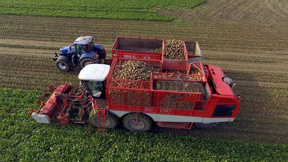 Loonbedrijf van der Woerd Vervaet Beet Eater 625 en New Holland T7.220 en Beco Trekkerweb