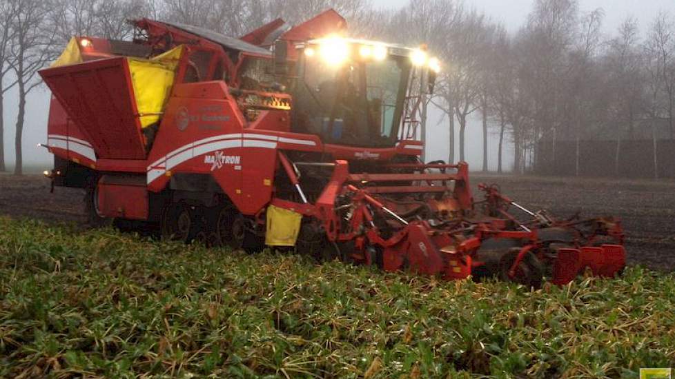 De bieten zijn gezaaid op 8 april en eind november gerooid door loonbedrijf Wardenier. ‘Dus voor de vorst. De bieten hebben in de bewaring ook geen vorstschade opgelopen’, zegt Jan-Martijn Eggens.