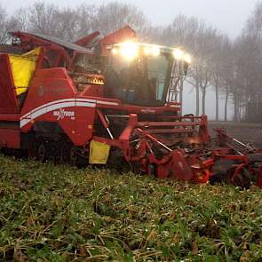 De bieten zijn gezaaid op 8 april en eind november gerooid door loonbedrijf Wardenier. ‘Dus voor de vorst. De bieten hebben in de bewaring ook geen vorstschade opgelopen’, zegt Jan-Martijn Eggens.