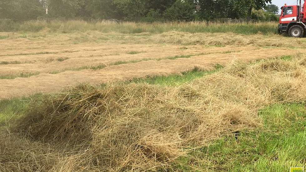 Het graszaad heeft zeven dagen in het zwad gelegen.