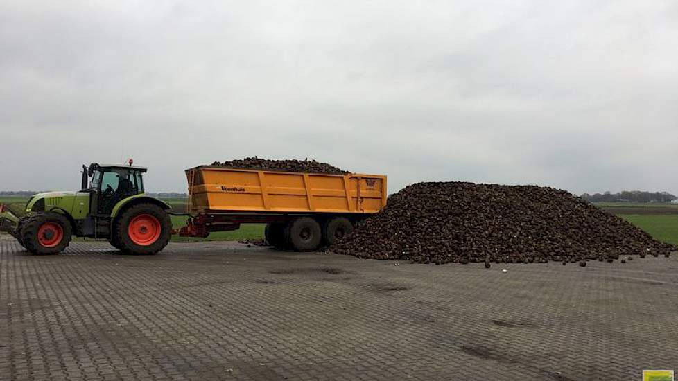 Van natheid is in de regio Vroomshoop geen sprake. ‘Het was hier de hele zomer en najaar vrij droog. We hebben totaal geen last gehad van wateroverlast tijdens de aardappeloogst. De bieten hebben hier eerder last van droogte dan van natheid.’