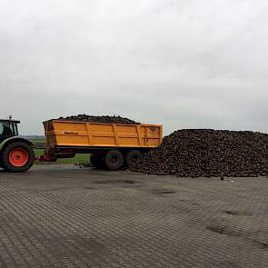 Van natheid is in de regio Vroomshoop geen sprake. ‘Het was hier de hele zomer en najaar vrij droog. We hebben totaal geen last gehad van wateroverlast tijdens de aardappeloogst. De bieten hebben hier eerder last van droogte dan van natheid.’