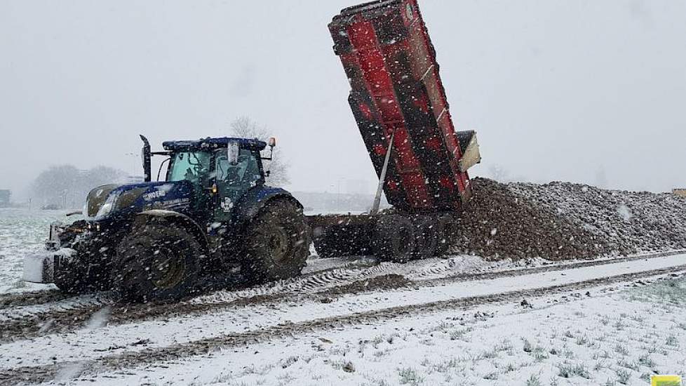 De opbrengst op dit perceel schat Van der Woerd op circa 95 ton per hectare. Hoge opbrengsten, erkent de loonwerker. ‘We zitten in deze regio dit jaar gemiddeld over de 90 ton met een gemiddeld suikerpercentage van 17. In andere jaren liggen de opbrengste