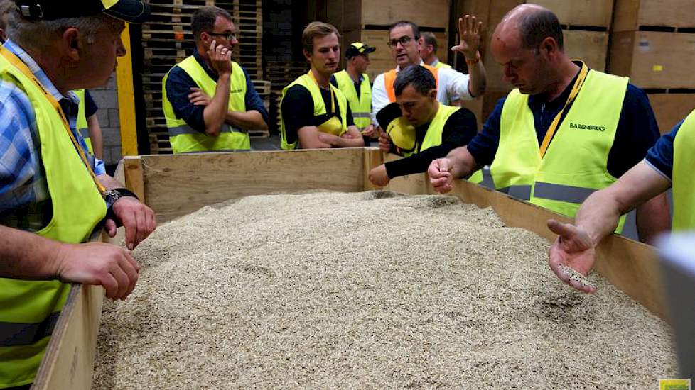 De telers monsteren in Nijmegen een palletbox vol graszaad.