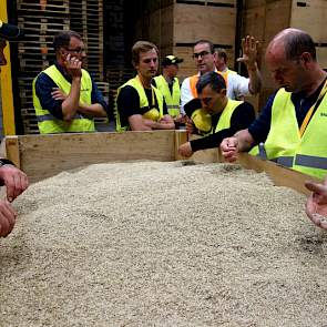 De telers monsteren in Nijmegen een palletbox vol graszaad.