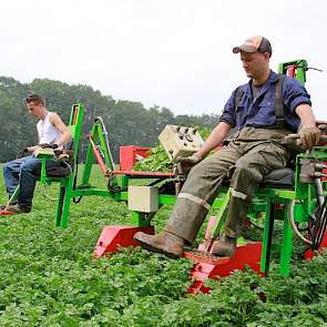 Maar eigenlijk is de kar niet zo belangrijk, vindt Prinzen. ‘Het gaat om de mensen die er op zitten, hun ogen zijn het belangrijkste.’ Het is niet gemakkelijk om goede selecteurs te vinden, zegt de akkerbouwer uit Aalten. ‘Een bacteriezieke plant die verd