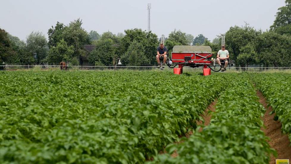 Desondanks verloopt de selectie vlot. De selecteurs zijn inmiddels met de tweede rondgang bezig.