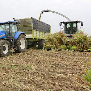 De hakselaar heeft een werkbreedte van acht rijen maïs. De maïsbek is ook nieuw.