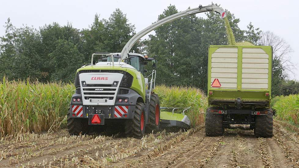 Het loonbedrijf schafte de Claas Jaguar 940 dit jaar aan. Gras werd er al mee geoogst, maar maïs nog niet.