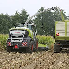 Het loonbedrijf schafte de Claas Jaguar 940 dit jaar aan. Gras werd er al mee geoogst, maar maïs nog niet.