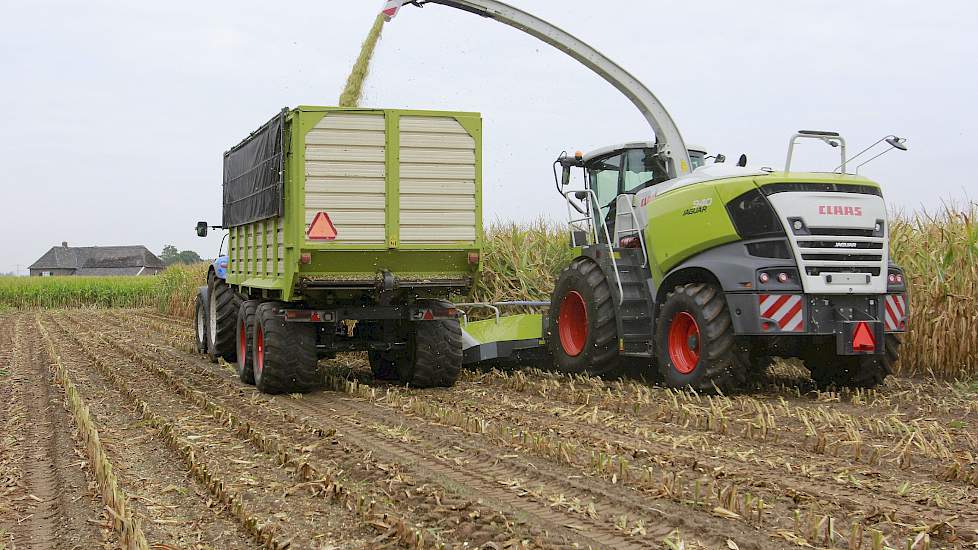 Gisteren werd slechts een klein perceel geoogst, maar het seizoen begint nu wel echt, weet de veehouder van wie de maïs op dit perceel is. „Morgen gaat een grotere melkveehouder hier in de buurt ook beginnen.”