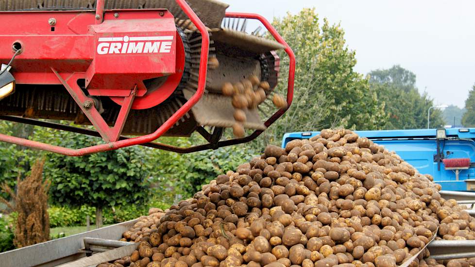 Ondanks alle extra beregeningswerkzaamheden als gevolg van de droogte is het afgelopen teeltseizoen volgens Hans Lamers eigenlijk vrij goed verlopen. „Zeker de ziektebestrijding was dit jaar een stuk makkelijker.”