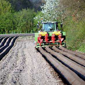 De Premieres in Malden zijn vroege fritesaardappelen. Pieter van Haaren: „De oogst is gepland voor begin augustus. Het liefst zo vroeg mogelijk. Daarna hebben we het pootgoed en dan volgen de late aardappelen.”