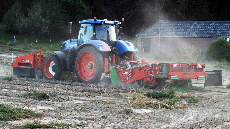 Het weer heeft dit groeiseizoen in Groesbeek zowel voor wateroverlast als droogteproblemen gezorgd. Beijer: „Deze rode uien zijn eind maart gezaaid. Door enkele zware regenbuien, net na het zaaien van de uien, hebben we op het perceel wel enige afspoeling