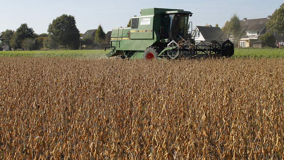 De soja die Schoenmakers heeft geteeld is van het ras Adsoy. De soja is 15 mei gezaaid en heeft de droge zomer grotendeels onberegend doorstaan. Schoenmakers schat de oogst van de 1,9 hectare op iets meer dan 6 ton bruto. De gemiddelde soja-opbrengst in N