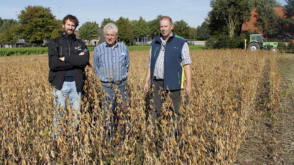 V.l.n.r.: Pim de Boer van Loonbedrijf Groesbeek, akkerbouwer Henk Schoenmakers en akkerbouwspecialist Marcel Schut van Agrifirm. Doordat de bodemherbiciden dit jaar als gevolg van de droogte minder goed hebben gewerkt, heeft Schoenmakers op zijn perceel w