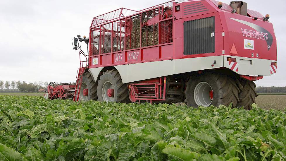 De bieten bij Hanse zijn 3 oktober met een Vervaet 625 van loonbedrijf Van Dun uit Rutten zonder problemen gerooid. Over de kwaliteit en de opbrengst van 96 ton netto, 16,4 procent suiker en een winbaarheid van 91 is Hanse tevreden.