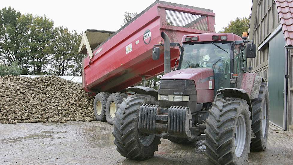 Hanse: „Het suikergehalte is wel lager dan vorig jaar. Door de regen is er nieuw blad gegroeid waardoor de plant minder suiker aanmaakt. Vorig jaar hadden we een netto-opbrengst van 95 ton en 17,8 procent suiker.”