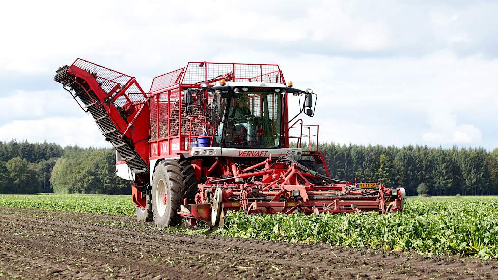 De rooiklus bij Snijders is door het Emmense loonbedrijf Fuhler geklaard met een Vervaet Beet Eater 925, een 9-rijige rooier met een bunker van 25 ton. Om de bodem te ontlasten staat de rooier dit jaar voor het eerst op IF-banden met 1,5 bar druk.