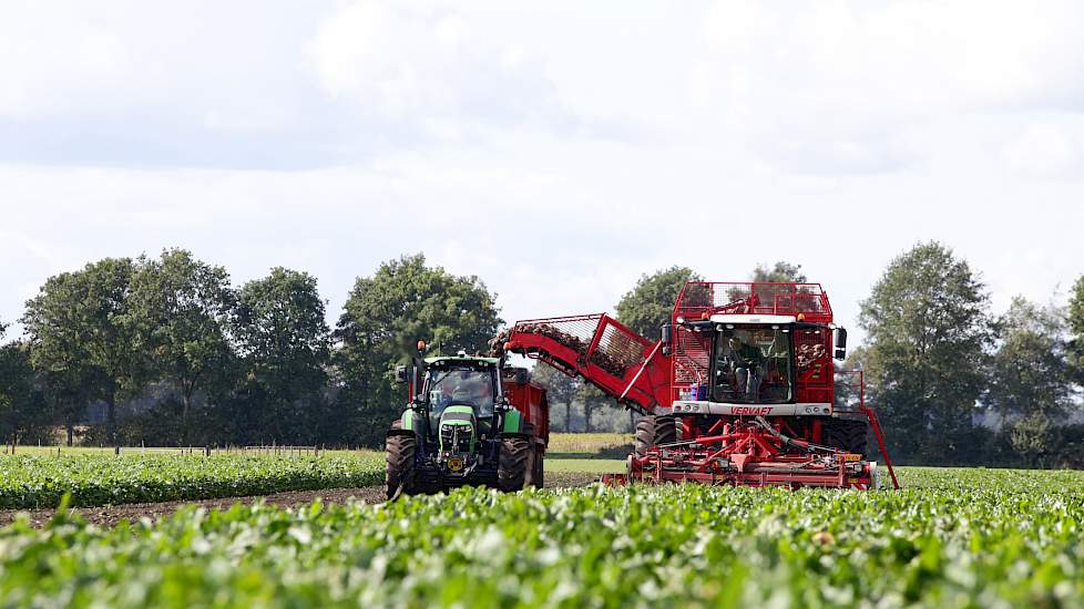 Maatschap Snijders in Noord-Sleen (DR) heeft 25 september 10 hectare bieten van het ras Ursulina gerooid.