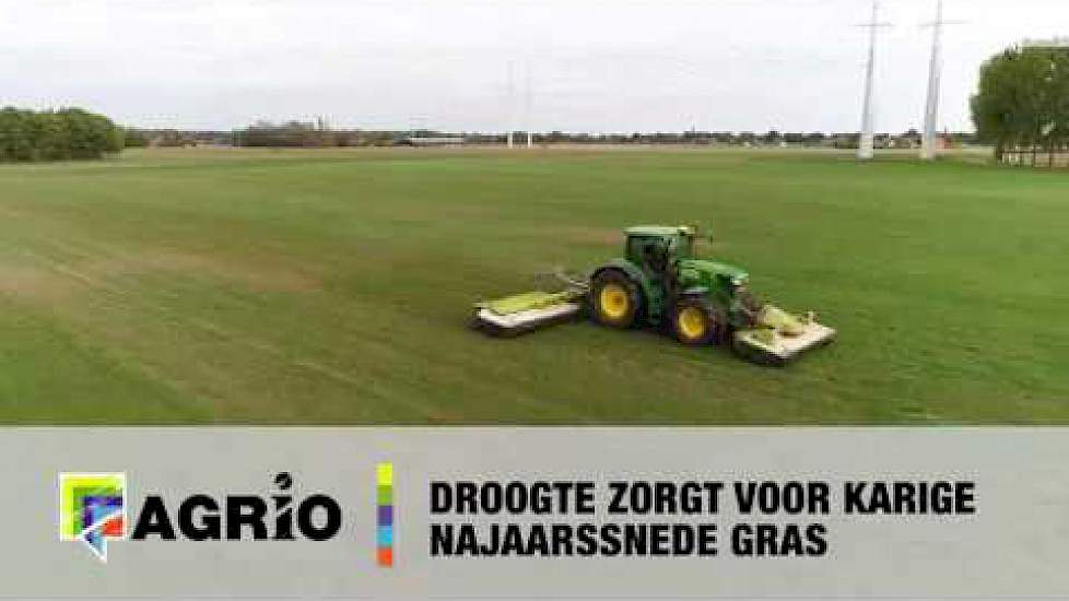 Droogte zorgt voor karige najaarssnede gras