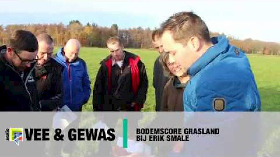 Bodemscore grasland bij Erik Smale