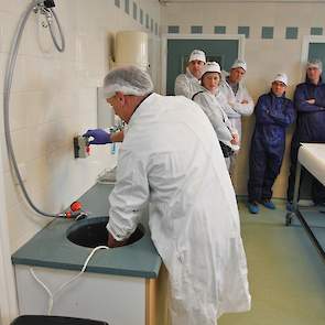 Na de uitwendige sectie wordt de hen geëlektrocuteerd door middel van een klein stroomstootje. Daarbij wordt gebruik gemaakt van water om de schok op te vangen. De hen is voor die tijd buiten bewustzijn gebracht zodat zij niets voelt van de elektrocutie.