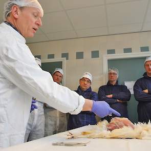 Marcel Boereboom verwijdert de veren en legt de hen bloot. Hij wijst hierbij direct naar zijn hart, longen en maag die allen goed zichtbaar zijn geworden. Ook het legapparaat is nu goed te zien.