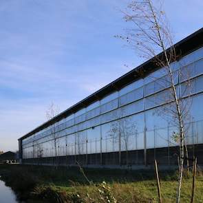 In de stal wordt gewerkt met dwarsventilatie. De inkomende lucht komt er aan de lage zijde (4 m hoogte) binnen en de uitgaande lucht gaat er aan de hoge zijde (11,5 m hoogte) naar buiten. „We maken gebruik van windinvloeden en natuurlijke principes”, vert