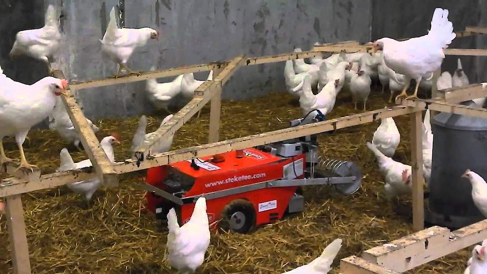 PoultryBot: test-driving among hens