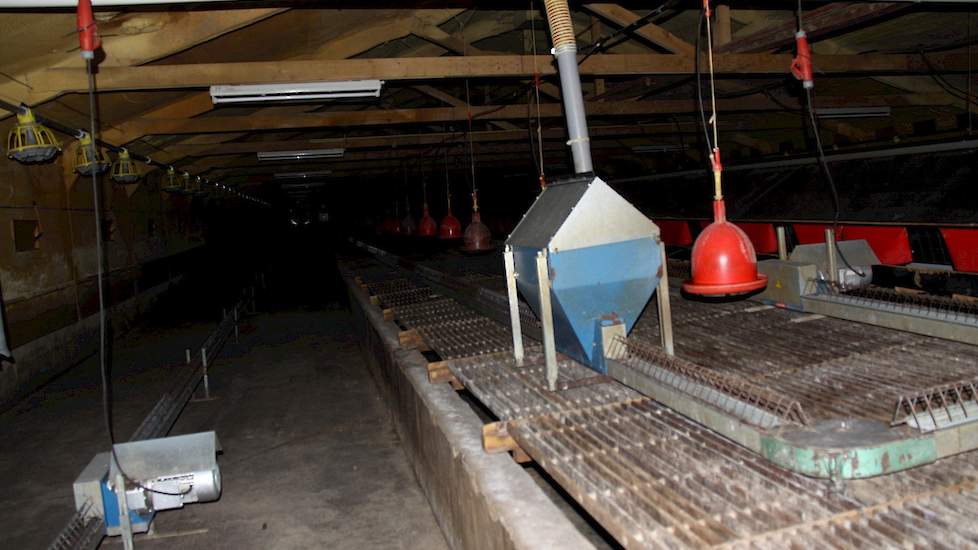 Een overzicht van stal 1. De oudste stal van de familie gebouwd in 1972. „Toen ik 18 jaar geleden het bedrijf van mijn vader overnam stonden de eerste 3 stallen er al”, vertelt Harko.