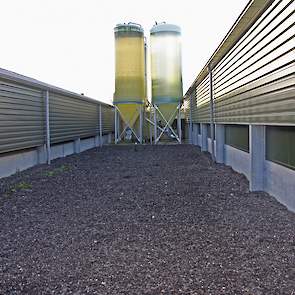 De silo’s staan tussen beide stallen in. Beide stallen worden gevoerd met dezelfde voercomputer.