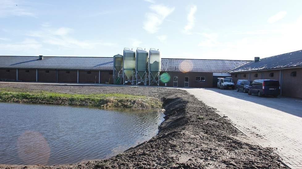 Beide stallen staan haaks op elkaar. Achter de zijkant van iedere stal bevindt zich 6 hectare uitloop. „Dat was het grootste pijnpunt. Om voldoende ruwvoer voor de melkkoeien te hebben, heb ik met een kalverhouder uit de buurt afgesproken dat we de komend