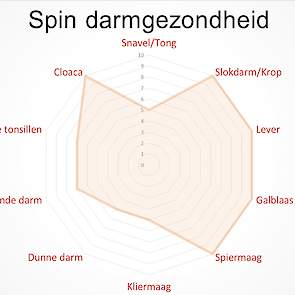 Voorbeeld van een spinnenweb overzicht van de darmgezondheid.