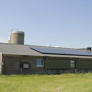 Op de bestaande leghennenstal liggen zonnepanelen. De familie schafte een aantal jaren geleden 65 zonnepanelen aan omdat energie steeds duurder wordt. Een jaar later deed Kievitsbosch mee aan een project van Stimuland en provincie Overijssel dat ook was g