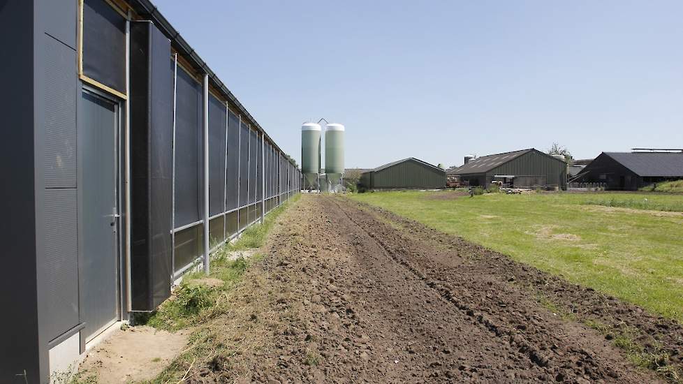 Kievitsbosch moet het gaas voor de uitloop van de hennen naast de stal nog opzetten.