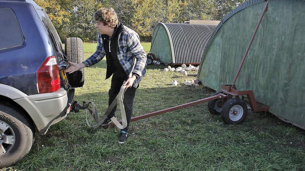 De kuikens gaan in de lente, zomer en herfst na vier weken naar buiten, maar blijven in de winter binnen omdat dat voor de gezondheid van de kuikens beter is. Niek verplaatst dagelijks de vier mobiele stallen zodat de kuikens continue in vers gras kunnen