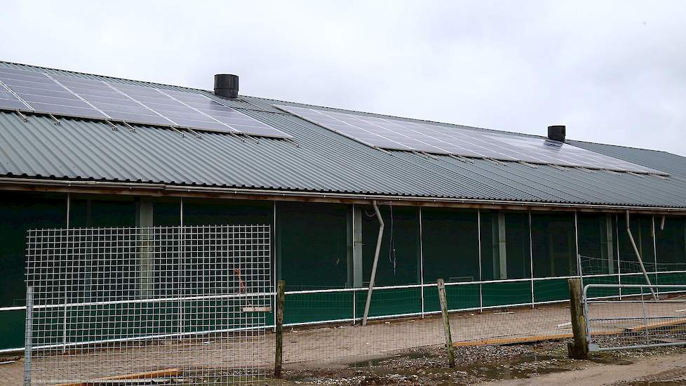 Op het dak van hun nieuwe stal liggen zonnepanelen waardoor ze 70 procent van hun stroombehoefte zelf op kunnen wekken.