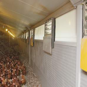 Al doet de pluimveehouder meer om bloedluizen te bestrijden. Zo spuit hij zijn stallen na iedere ronde met water schoon. Volgens hem is dit een belangrijke stap in het bestrijden van bloedluizen omdat de eitjes van de luizen hierdoor niet meer uitkomen. B