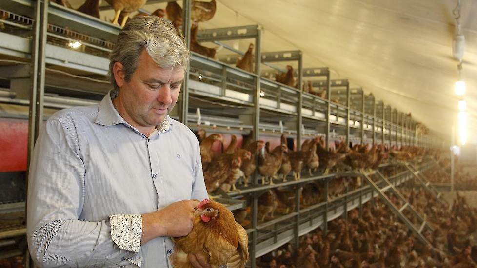 Klaassen is blij dat hij zelf geen bloedluizen meer hoeft te bestrijden. „Naast dat het onplezierig werk is, zorgt het ook voor veel onrust in de stal. Straks bij onbehandelde hennen wordt het nog belangrijker om onrust tegen te gaan omdat ze met hele sna