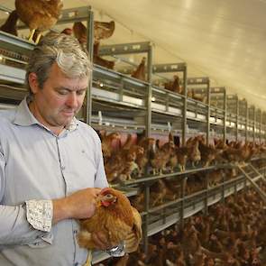 Klaassen is blij dat hij zelf geen bloedluizen meer hoeft te bestrijden. „Naast dat het onplezierig werk is, zorgt het ook voor veel onrust in de stal. Straks bij onbehandelde hennen wordt het nog belangrijker om onrust tegen te gaan omdat ze met hele sna