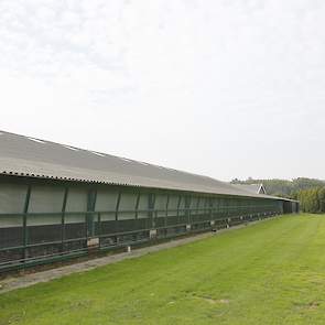 Vonk verlaagde de muurhoogte van de bestaande uitloop om aan de normen van het concept te kunnen voldoen. „De muurhoogte mag maximaal 25 centimeter hoog zijn omdat de kippen naar buiten moeten kunnen kijken. Alleen bij de spanten mochten we de muur laten