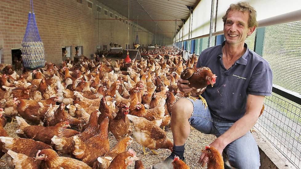 Martijn (44) Vonk houdt samen met zijn vrouw Bianca (45) 43.000 leghennen van twee leeftijden in het Gelderse Loil bij Didam. In één stal houden ze 19.000 scharrelhennen. In hun andere stal houden ze sinds eind augustus 24.000 scharrelhennen volgens het é