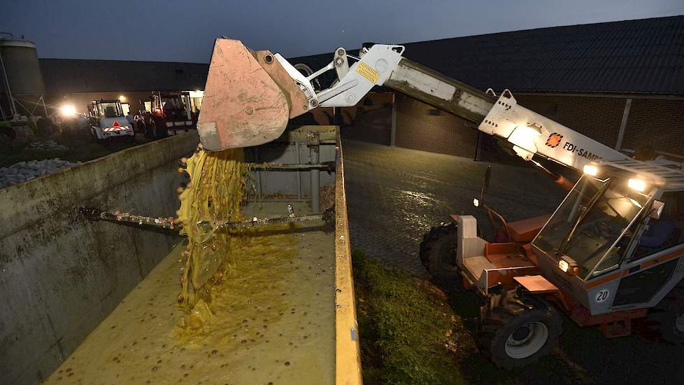 Kieft is één van de gedupeerde pluimveehouders door fipronil. „We hebben een keer voor het ruien en een keer na het ruien de eieren weg gegooid. Het ruien leverde niet het gewenste resultaat op. Dus hebben we onze kippen geruimd."