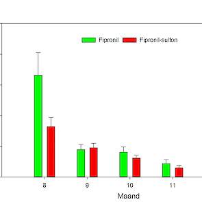 Figuur 1. Gehalte aan fipronil en fipronil-sulfon gemeten in tissues ingezonden voor onderzoek per maand (aug = 8, enz)