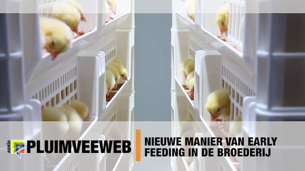 Nieuwe manier van early feeding in de broederij