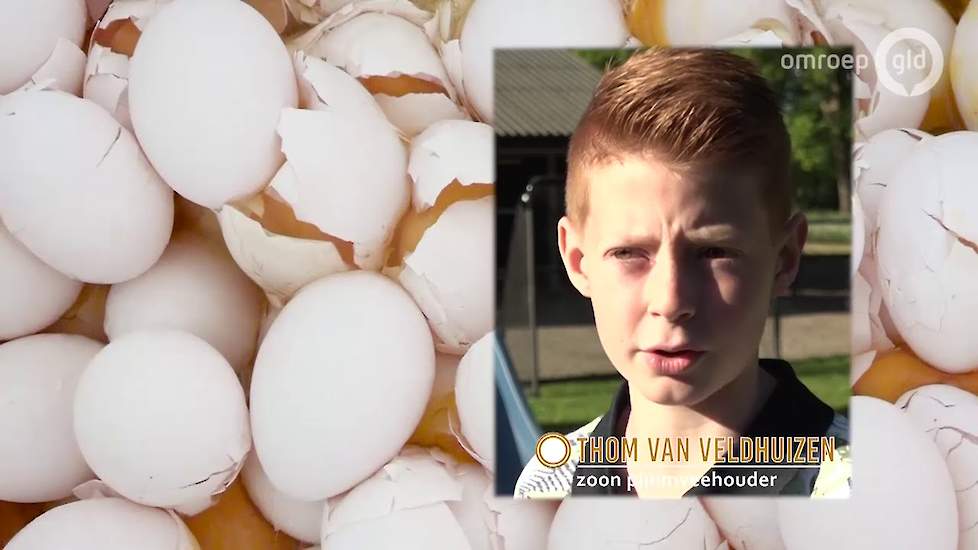 Fipronil? Niemand had er eerder van gehoord  30 juli 2018